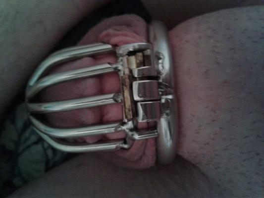 New Chastity Cage