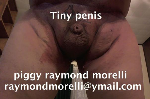 fat old piggy raymond morelli