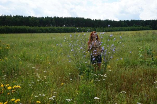 In spring Field