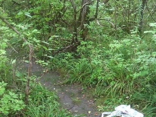 雨の日の屋外