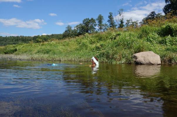 Mermaid of Volga-river