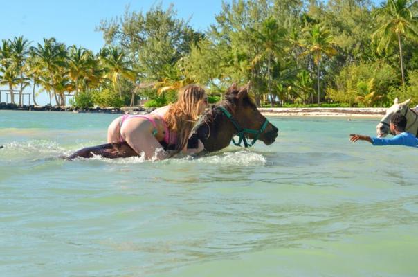 Caballo de agua