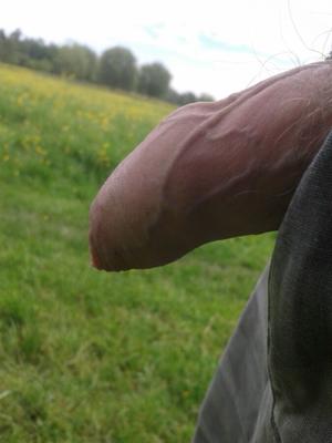 Cock out, outdoors