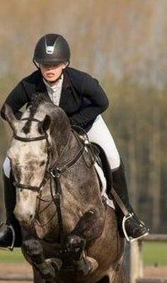 Entrenando con un caballo