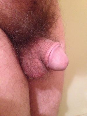 Small Dick Pictures