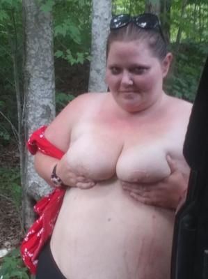 Tits in the forest