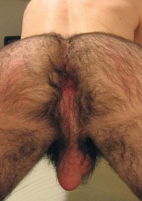 Hairy men ass - great!