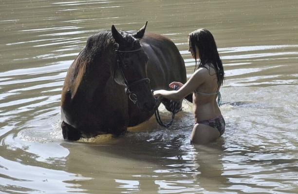 MENINA E CAVALO