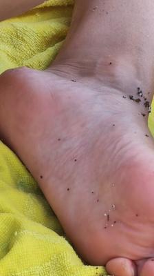 My wife&#;s toes on the beach