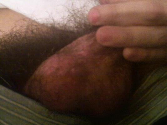 A few more pictures of my dick.