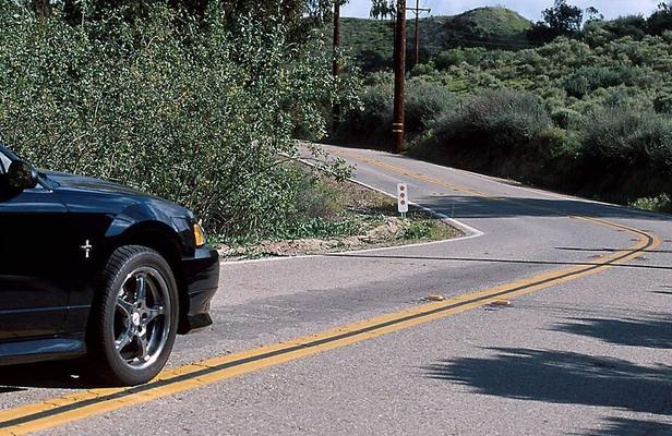 Aprilblumen Mustang