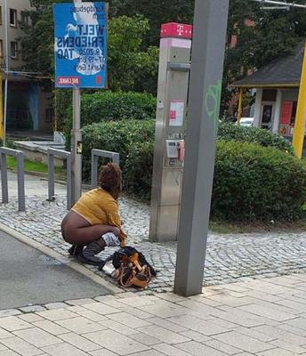 Schwarze Sau mitten mitten auf der Straße