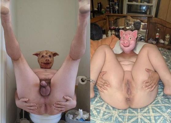 Pig Couple