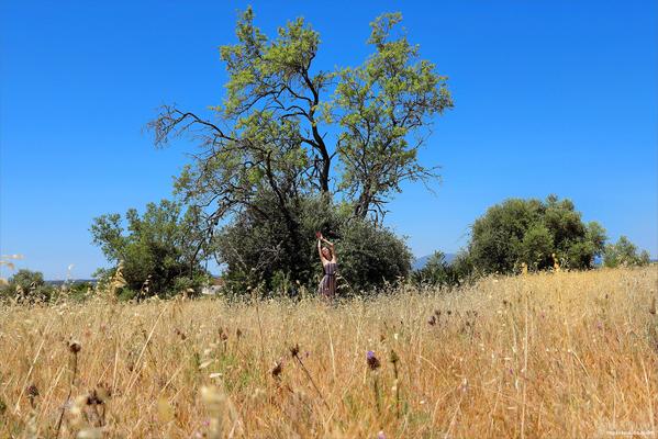 Leona Mia A Field to Dream